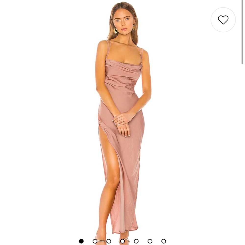 NWT Braxton Dress in Rose